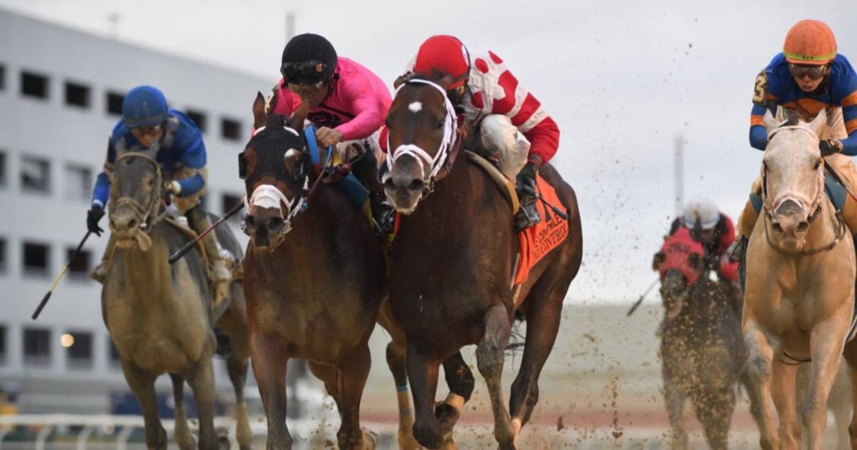 FOURSTAR CROOK STAKES: HOT CURRENCY FAVORITA