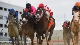 Aqueduct abre sus puertas este jueves: Draft Riots y Patty Cakes acaparan las miradas en Nueva York