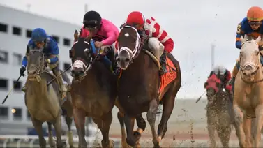 Aqueduct abre sus puertas este jueves: Draft Riots y Patty Cakes acaparan las miradas en Nueva York Aqueduct abre sus puertas este jueves: Draft Riots y Patty Cakes acaparan las miradas en Nueva York