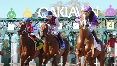 Jornada de jueves en Oaklawn Park: First Division y Social Climber marcan la pauta en Hot Springs Jornada de jueves en Oaklawn Park: First Division y Social Climber marcan la pauta en Hot Springs