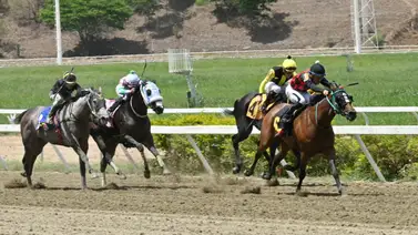 La Rinconada: En el Clásico Peggy Azqueta hay una yegua que todo el mundo habla para llevarse la victoria La Rinconada: En el Clásico Peggy Azqueta hay una yegua que todo el mundo habla para llevarse la victoria