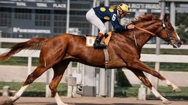 La historia del alazán indomable que devolvió el orgullo al hipismo nacional La historia del alazán indomable que devolvió el orgullo al hipismo nacional