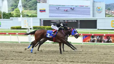 Conoce la información crucial sobre la prueba de cierre: Los detalles que definen el éxito en la sexta válida Conoce la información crucial sobre la prueba de cierre: Los detalles que definen el éxito en la sexta válida