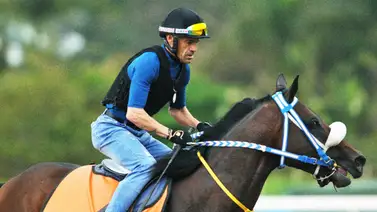 Plan de vuelo: Estos son los ejemplares con los que Jaime Lugo podrá igualar o superar su marca en la hípica venezolana Plan de vuelo: Estos son los ejemplares con los que Jaime Lugo podrá igualar o superar su marca en la hípica venezolana