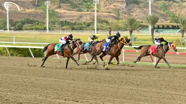 Adiós a la racha negativa: El análisis detrás de la fija de la semana con casi un año sin ganar en La Rinconada Adiós a la racha negativa: El análisis detrás de la fija de la semana con casi un año sin ganar en La Rinconada