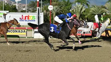Tradición y gloria: Mira estos datos inéditos que marcan la historia del Clásico Federico Carmona Perera (GII) Tradición y gloria: Mira estos datos inéditos que marcan la historia del Clásico Federico Carmona Perera (GII)