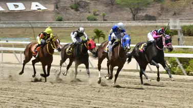 La Rinconada: Ejemplares con sello de garantía y la recomendación de oro para los acumulados La Rinconada: Ejemplares con sello de garantía y la recomendación de oro para los acumulados