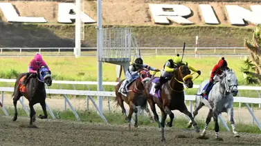 ¡Números de oro! Conoce a los ejemplares con los mejores "Ratings" para sellar su cuadro del 5y6 en la R16 ¡Números de oro! Conoce a los ejemplares con los mejores "Ratings" para sellar su cuadro del 5y6 en la R16