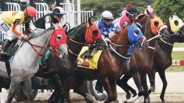 ¡Prohibido olvidar! Recordamos al entrenador que hizo historia en dos naciones y hoy es leyenda inmortal ¡Prohibido olvidar! Recordamos al entrenador que hizo historia en dos naciones y hoy es leyenda inmortal