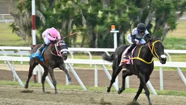 Datazo: Viene de ganar y como ajustó luce pare repetir este domingo en La Rinconada Datazo: Viene de ganar y como ajustó luce pare repetir este domingo en La Rinconada