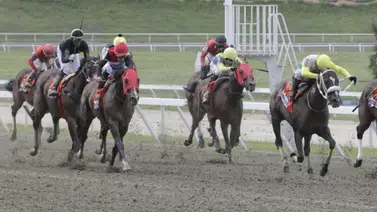 Al momento de sellar: Así como ajustó la línea de Gaceta Hípica será la estrategia perfecta para ganar el 5y6 Al momento de sellar: Así como ajustó la línea de Gaceta Hípica será la estrategia perfecta para ganar el 5y6