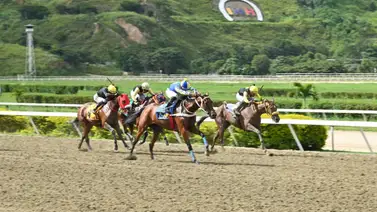 Conoce la sorpresa de Gaceta Hípica que deslumbró en los traqueos de La Rinconada Conoce la sorpresa de Gaceta Hípica que deslumbró en los traqueos de La Rinconada