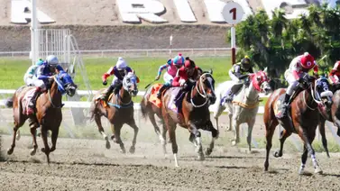 ¡Tiempo perfecto! Este fue el ajuste de la gran opción de Gaceta Hípica que prometerá asegurar tu cuadro del 5y6 ¡Tiempo perfecto! Este fue el ajuste de la gran opción de Gaceta Hípica que prometerá asegurar tu cuadro del 5y6
