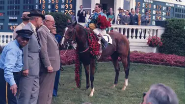 Coleccionismo y tradición: El secreto detrás del nuevo licor que celebra el legado de Northern Dancer Coleccionismo y tradición: El secreto detrás del nuevo licor que celebra el legado de Northern Dancer