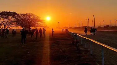 Datos de última hora para el Hipódromo Nacional de Valencia 11-4-2026 Datos de última hora para el Hipódromo Nacional de Valencia 11-4-2026