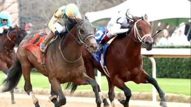 Kentucky Derby: Hijo de Uncle Mo es el primer retirado en el Derby de las Rosas Kentucky Derby: Hijo de Uncle Mo es el primer retirado en el Derby de las Rosas