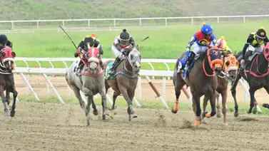 La Rinconada: El dato oculto detrás de la yunta que buscará su primera victoria en el 5y6 dominical La Rinconada: El dato oculto detrás de la yunta que buscará su primera victoria en el 5y6 dominical