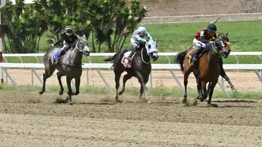 No todo es Tale Of May y Brown Sugar: La pieza que falta para acertar un buen pago en el 5y6 de la R16 No todo es Tale Of May y Brown Sugar: La pieza que falta para acertar un buen pago en el 5y6 de la R16