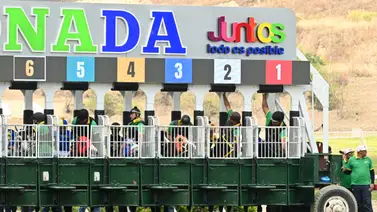 Pendiente: Con este ajuste de esta potra importada queda lista para su debut en una de las selectivas de la R16 Pendiente: Con este ajuste de esta potra importada queda lista para su debut en una de las selectivas de la R16