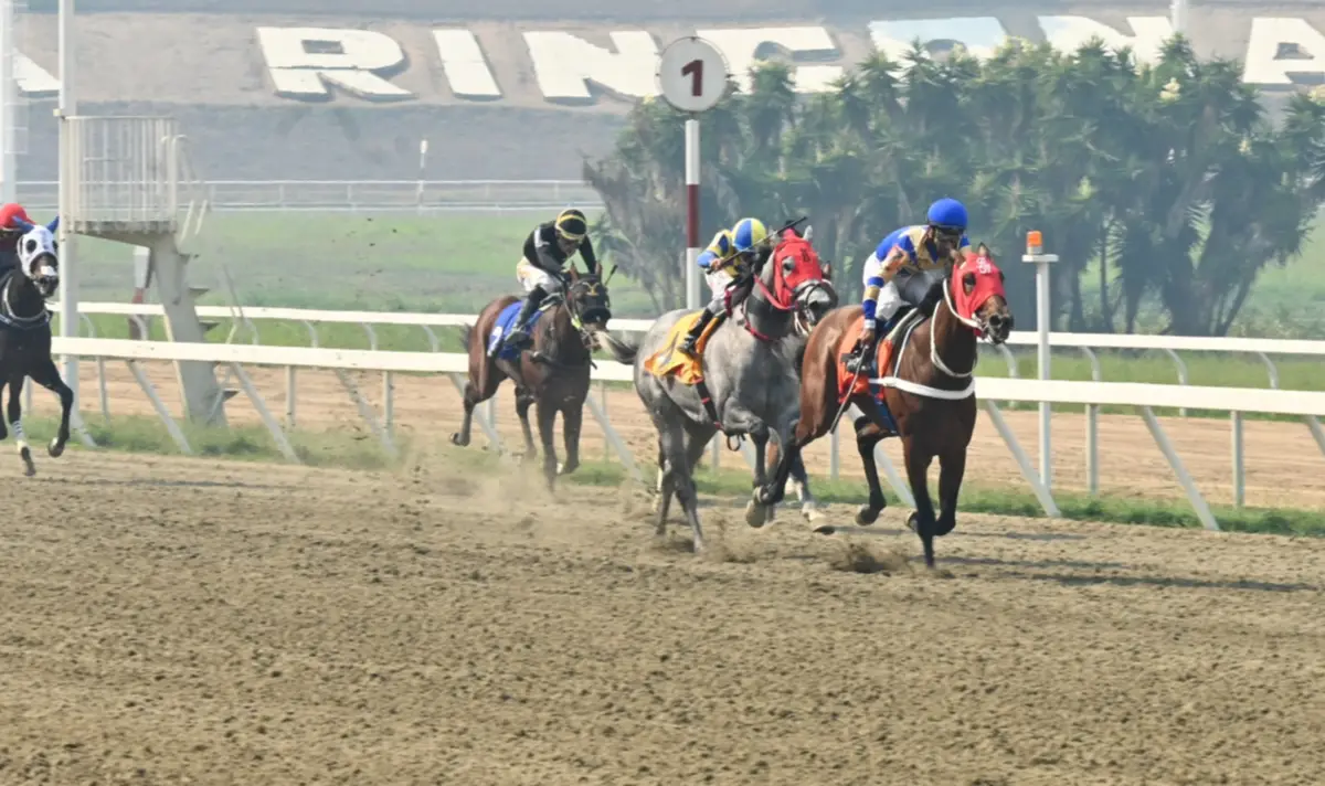 Ojo: Mira el ajuste extraordinario de este ejemplar que nadie tiene en el clásico “Juan Vicente Tovar” (GIII)