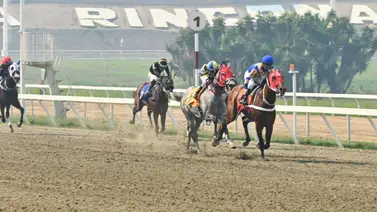 Ojo: Mira el ajuste extraordinario de este ejemplar que nadie tiene en el clásico “Juan Vicente Tovar” (GIII) Ojo: Mira el ajuste extraordinario de este ejemplar que nadie tiene en el clásico “Juan Vicente Tovar” (GIII)