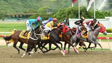 ¡Inédito en La Rinconada! Un hecho sin precedentes que une a seis ganadoras del Clásico Peggy Azqueta (GII) ¡Inédito en La Rinconada! Un hecho sin precedentes que une a seis ganadoras del Clásico Peggy Azqueta (GII)