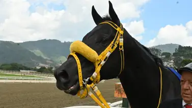 Conoce el principal detalle que define la oportunidad de Brown Sugar en el cierre selectivo de La Rinconada Conoce el principal detalle que define la oportunidad de Brown Sugar en el cierre selectivo de La Rinconada