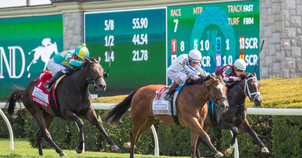 LIMESTONE STAKES (G3): TRIUNFO BORICUA EN KEENELAND