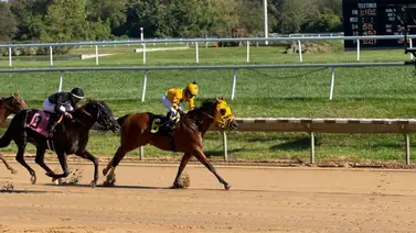 Jinete criollo ganador del Kentucky Derby supera cifra histórica de victorias en Estados Unidos Jinete criollo ganador del Kentucky Derby supera cifra histórica de victorias en Estados Unidos