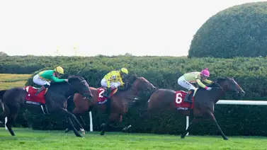 Zulu Kingdom le da la victoria 3,000 a Chad Brown en la Maker’s Mark Mile (G1) de Keeneland Zulu Kingdom le da la victoria 3,000 a Chad Brown en la Maker’s Mark Mile (G1) de Keeneland