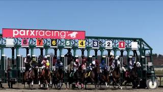 Este es el Pick 3 sugerido del lunes 13 de abril de 2026 en Parx Racing