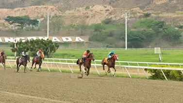 Dos entrenadores multados por silla rodada por el INH en la reunión 16 Dos entrenadores multados por silla rodada por el INH en la reunión 16
