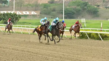 Jockey ganador de meeting es multado en la reunión 16 por comisarios del INH Jockey ganador de meeting es multado en la reunión 16 por comisarios del INH