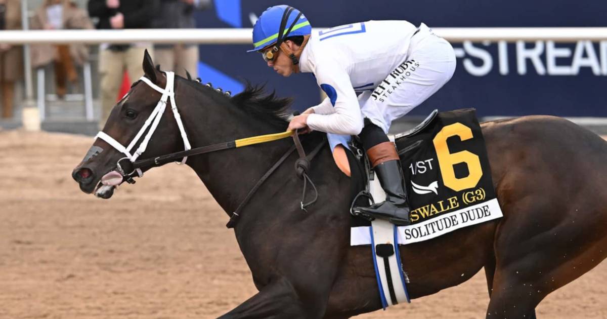 HIPÓDROMO AQUEDUCT: BAY SHORE STAKES ENFRENTA A SOLITUDE DUDE E IGNITER