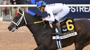 Javier Castellano sobre Solitude Dude reta a Igniter en el match de la semana que se corre en Aqueduct Javier Castellano sobre Solitude Dude reta a Igniter en el match de la semana que se corre en Aqueduct