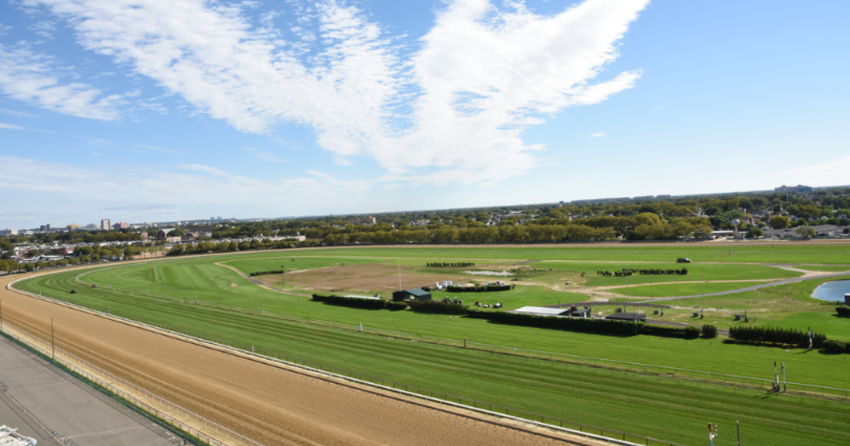 CHAD BROWN DOMINA EL PLENTY OF GRACE STAKES