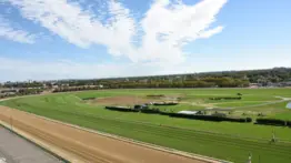 Chad Brown va por 1-2-3 en el primer stakes de grama que se celebra en Ozone Park durante la temporada