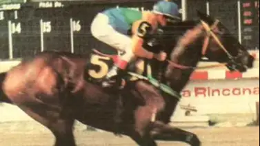 Murió el Ingeniero Francisco Lara García: El hombre detrás de la gloria del Stud Otacito Murió el Ingeniero Francisco Lara García: El hombre detrás de la gloria del Stud Otacito