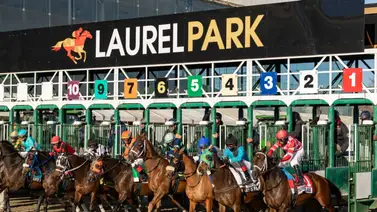 Este sábado llega el Preakness Preview Day en Laurel Park con cinco Stakes Este sábado llega el Preakness Preview Day en Laurel Park con cinco Stakes