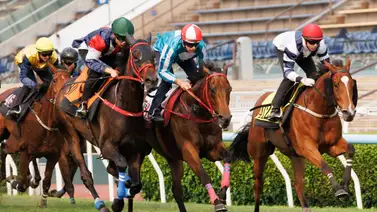 El caballo más rico de la historia ajusta para el FWD Champions Day en Sha Tin El caballo más rico de la historia ajusta para el FWD Champions Day en Sha Tin