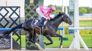 Kentucky Derby: El japonés Wonder Dean por la hazaña en la edición 152 de la carrera más famosa del mundo Kentucky Derby: El japonés Wonder Dean por la hazaña en la edición 152 de la carrera más famosa del mundo