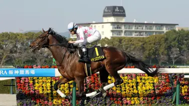 Previa: Este domingo comienza la Triple Corona japonesa con la edición del Satsuki Sho (G1) Previa: Este domingo comienza la Triple Corona japonesa con la edición del Satsuki Sho (G1)