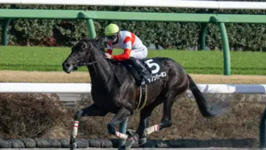 Kentucky Derby: El nipón Danon Bourbon defiende su invicto en la carrera de las Rosas Kentucky Derby: El nipón Danon Bourbon defiende su invicto en la carrera de las Rosas