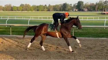 Más imponente que nunca: Así fue la llegada del Caballo del Año 2025 a Oaklawn Park Más imponente que nunca: Así fue la llegada del Caballo del Año 2025 a Oaklawn Park