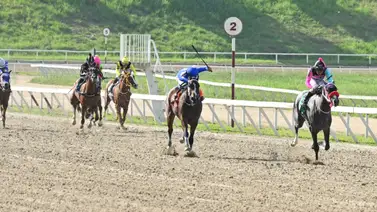 Expectativa total: Reaparece la pieza mejor pagada de Unicria 2023 con ejercicios prohibitivos Expectativa total: Reaparece la pieza mejor pagada de Unicria 2023 con ejercicios prohibitivos