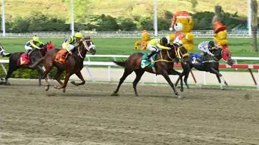 ¿Borrón y cuenta nueva? El ejemplar que se negó a correr vuelve transformado a La Rinconada ¿Borrón y cuenta nueva? El ejemplar que se negó a correr vuelve transformado a La Rinconada