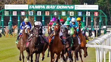 Pronósticos Tampa Bay Downs: picks gratis y el dato clave para el miércoles 15 de abril Pronósticos Tampa Bay Downs: picks gratis y el dato clave para el miércoles 15 de abril
