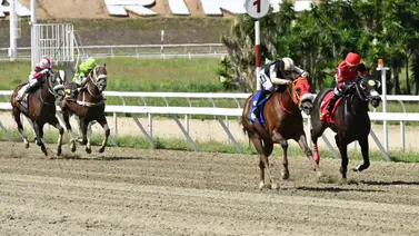 Descubre qué ejemplar ganó el primer Clásico Presidente de la República exclusivo para caballos venezolanos Descubre qué ejemplar ganó el primer Clásico Presidente de la República exclusivo para caballos venezolanos