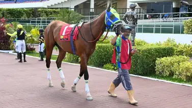 ¿Heredará la clase? La hermana de un ganador selectivo salta a la pista en el 5y6 de La Rinconada ¿Heredará la clase? La hermana de un ganador selectivo salta a la pista en el 5y6 de La Rinconada