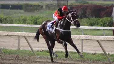Water Jet: A 19 años del nacimiento de un titán de las pistas venezolanas Water Jet: A 19 años del nacimiento de un titán de las pistas venezolanas